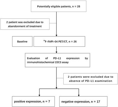 18F-FAPI-04 PET/CT parameters predict PD-L1 expression in esophageal squamous cell carcinoma